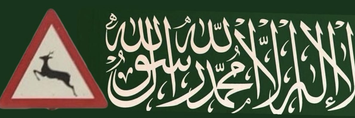 ᥫ᭡ ﮼الشـادن،'s banner