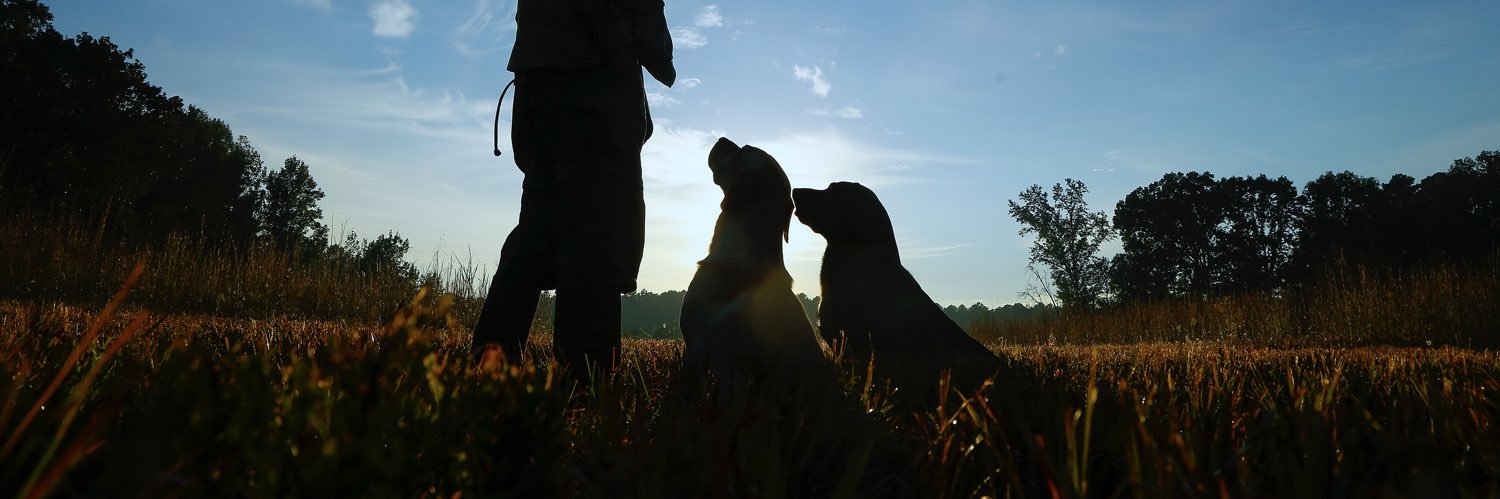 Wildrose Kennels's banner