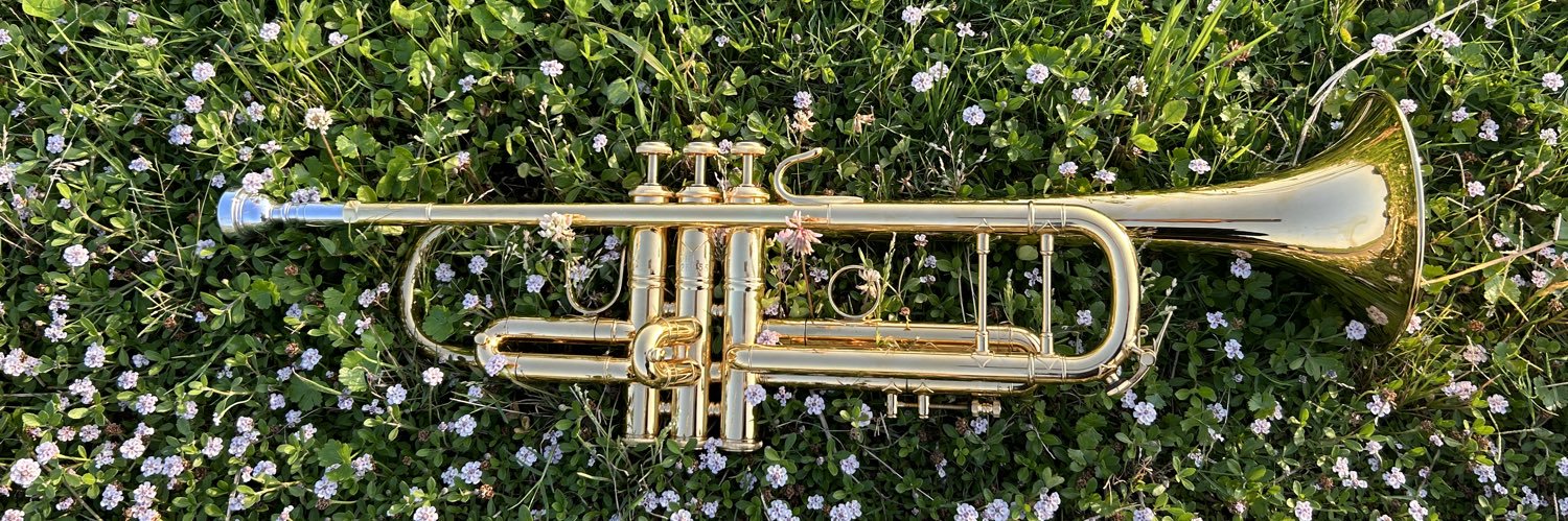 齊藤舞子🎺🌿🫖's banner