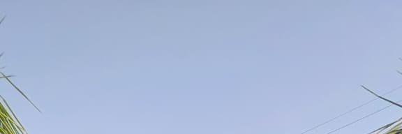 Critical Citizen's banner