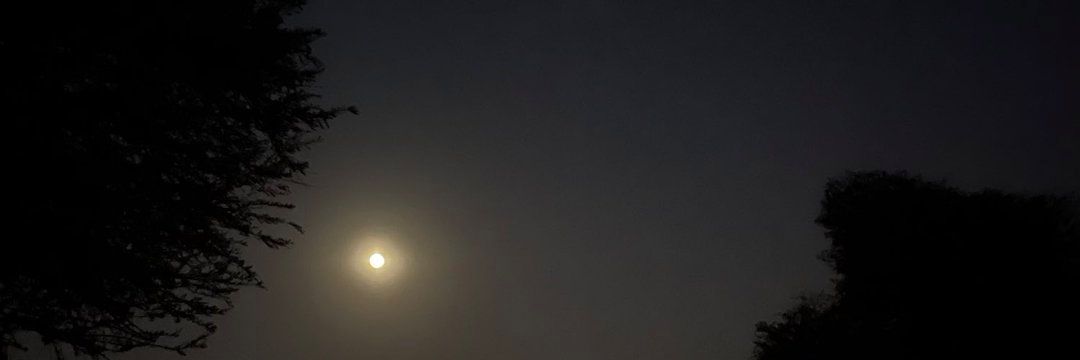 السيف's banner