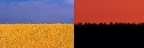 Petrenko AndryiⒸ (Ukraine)'s banner