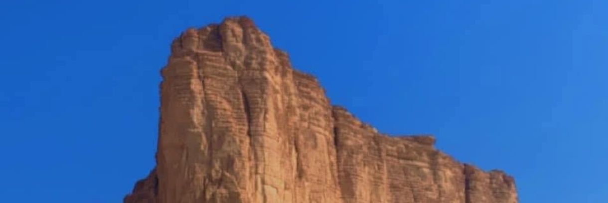 ابو ضاري | MBS's banner