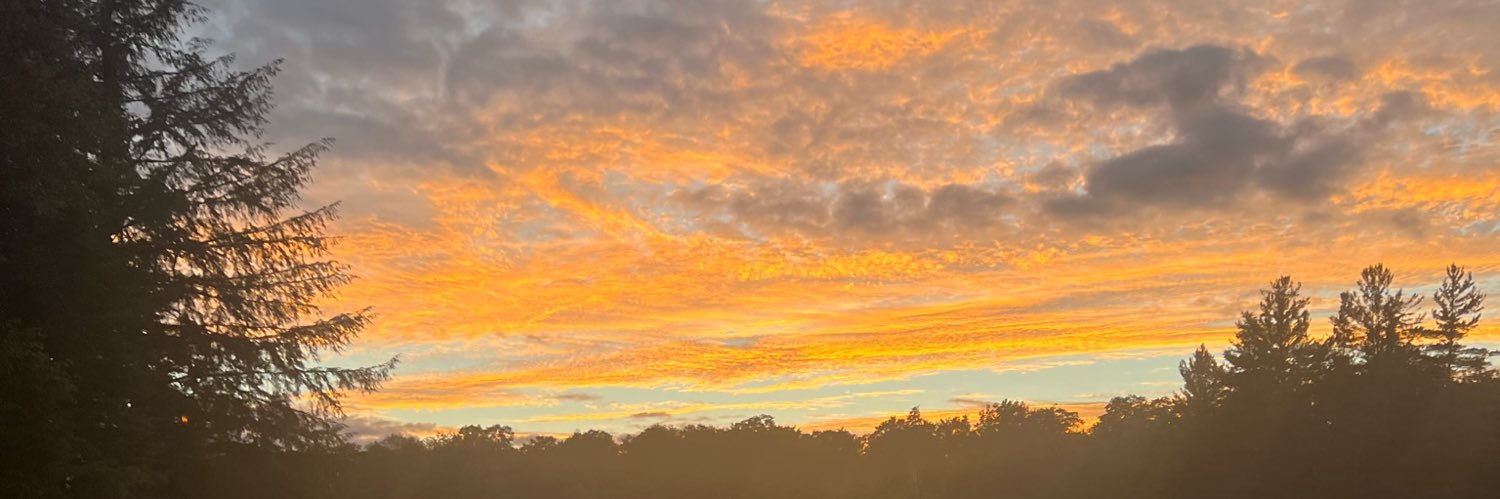 Alyssa Knapp's banner