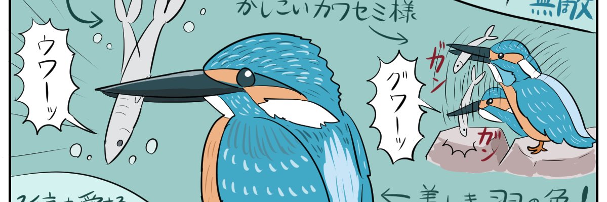 ぬまがさワタリ@特別展「鳥」大阪展（〜6/14）'s banner
