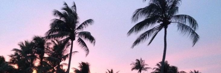 la china de titanio🥀's banner