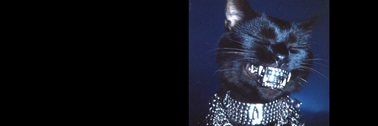 posh spice ✨'s banner
