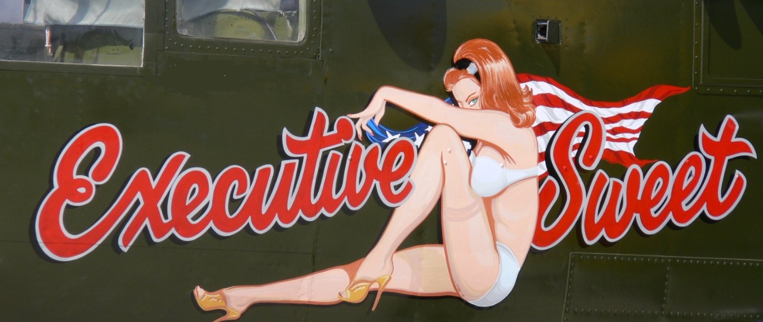 たーか@営業中ムスメニウム命💕🇺🇸🌸🇯🇵🛩🏎️🏍🚗's banner