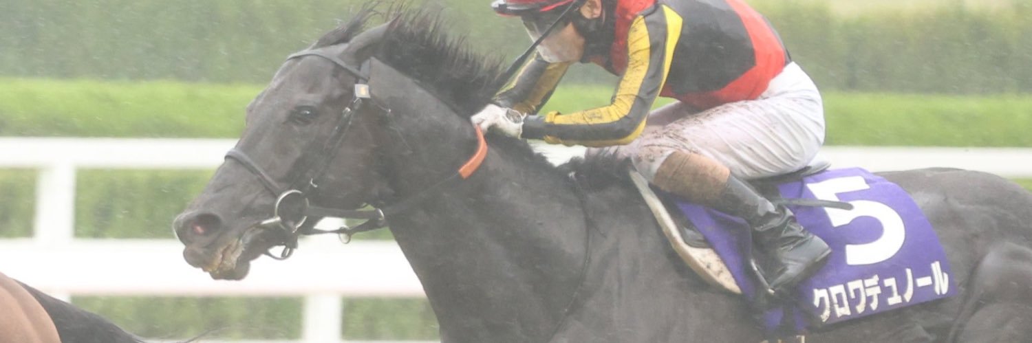 ひらゆー 📷🐎8/15 16 C108両日's banner