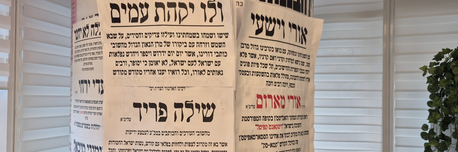 שילה פריד🇮🇱's banner