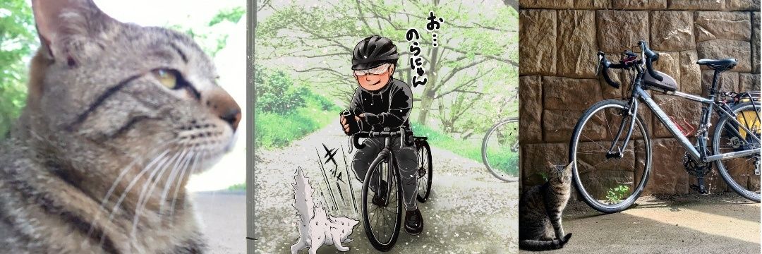 🐸ぴとちん🍀's banner