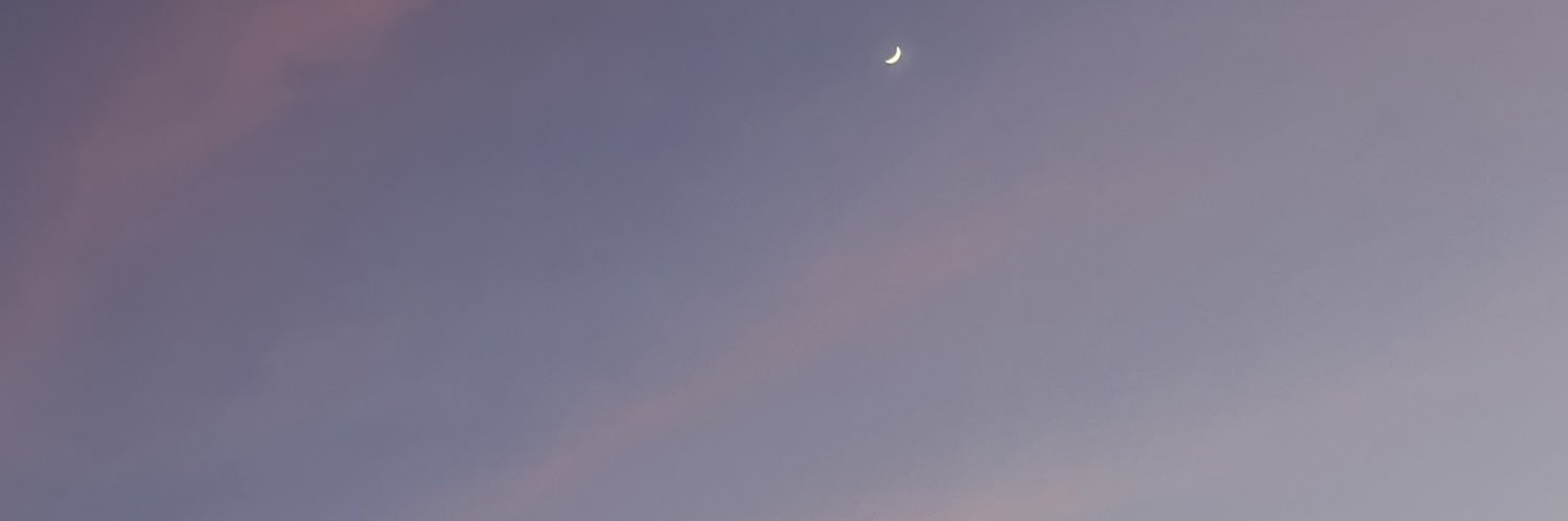 ᴡᴍʏᴍᴏᴍᴇɴᴛ.'s banner