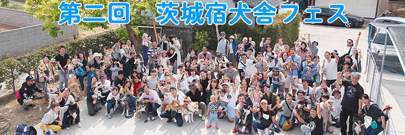 秋田犬・柴犬ブリーダー茨城宿犬舎's banner