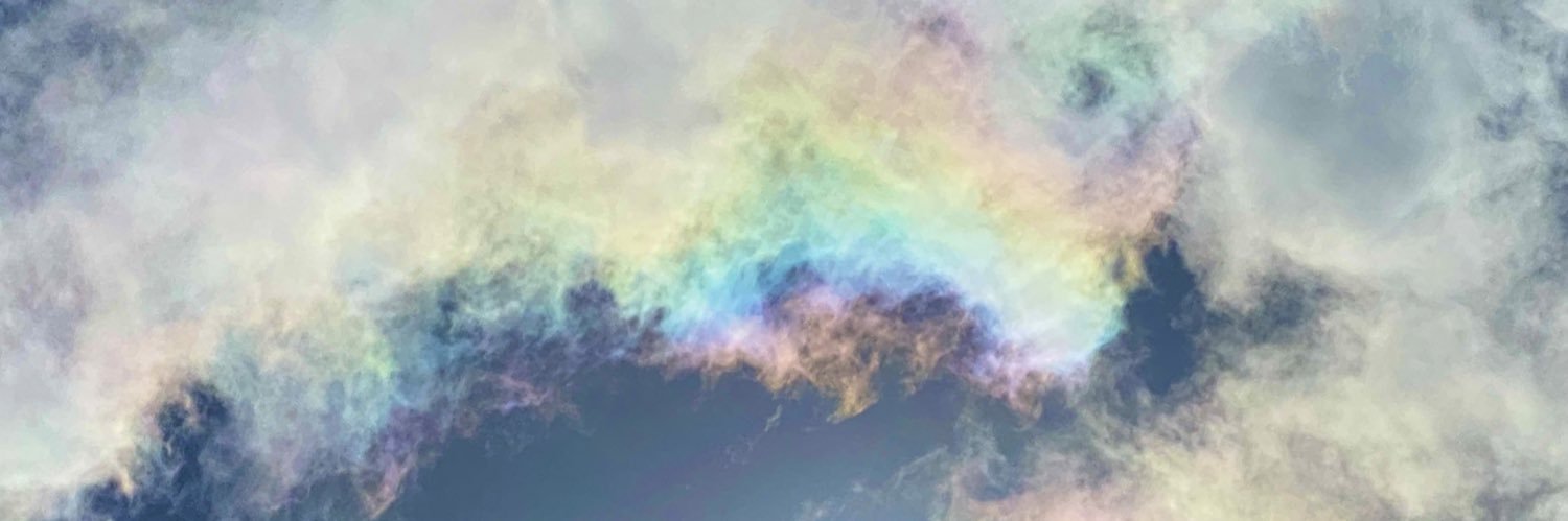 どね( ｡•̀_•́｡)(｡•̀_•́｡ )'s banner
