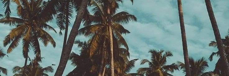 Mikee🍥's banner