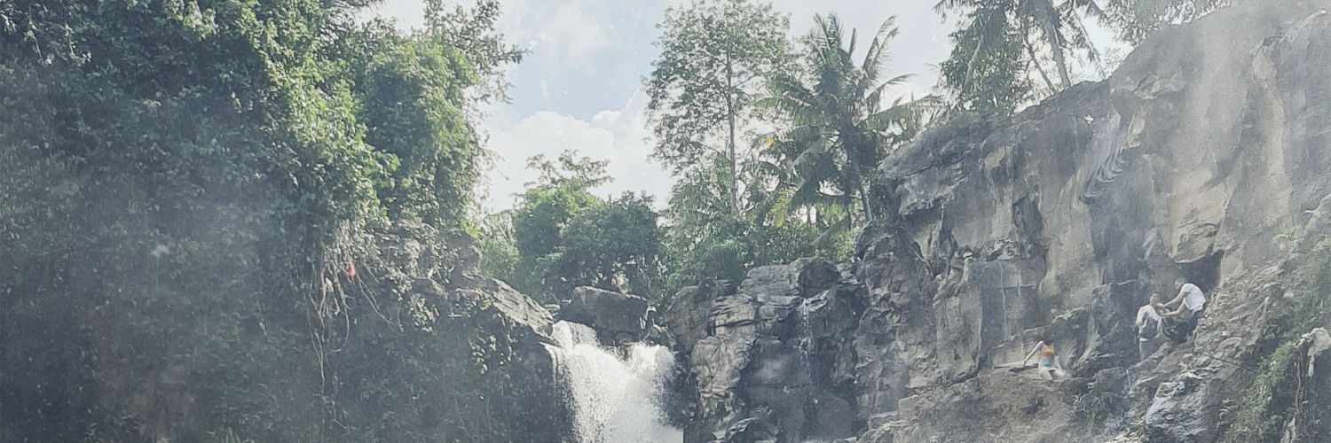 Aly's banner
