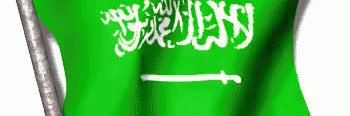 حب الوطن's banner