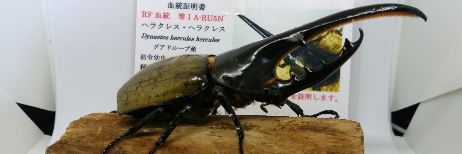 クワカブの部屋's banner