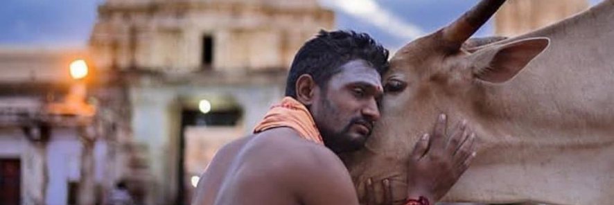संगमवाले 🧔's banner