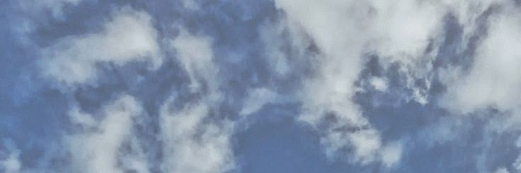 r's banner