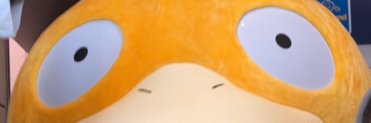 ひろダック's banner
