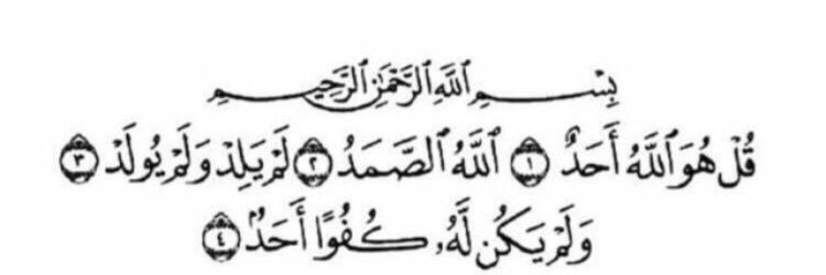 د. نصراوي صريح 48's banner