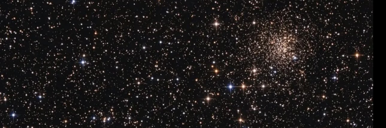 نوف بنت إبراهيم |🇦🇪's banner
