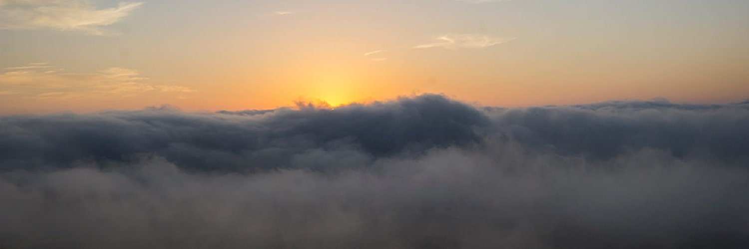 أيمن العامر's banner