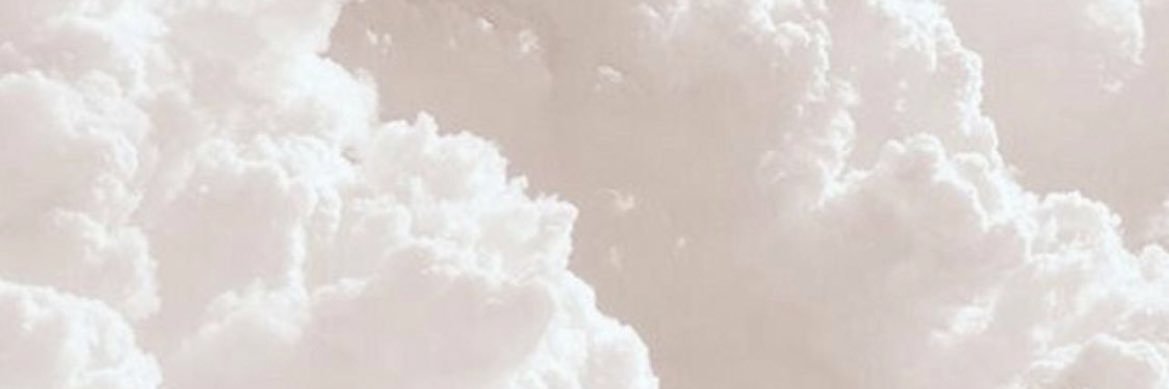 Bambi's banner