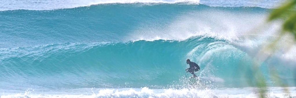 The Surfing CyberSurgeon©️ 🔪 🏄‍♂️🤙 ☮️'s banner