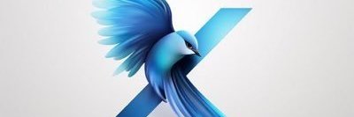 每日大赛精选's banner