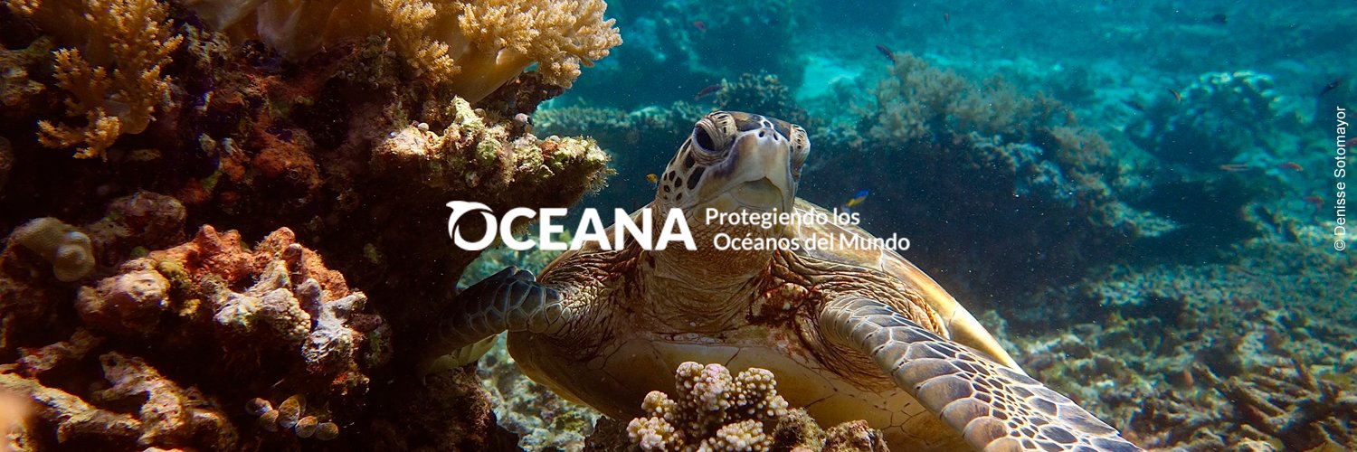 Oceana Perú's banner