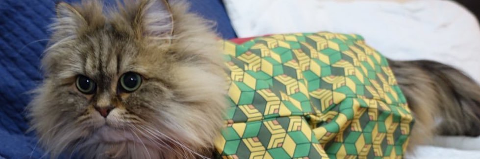 HELLO🐱さん&climbing_bird🦅's banner