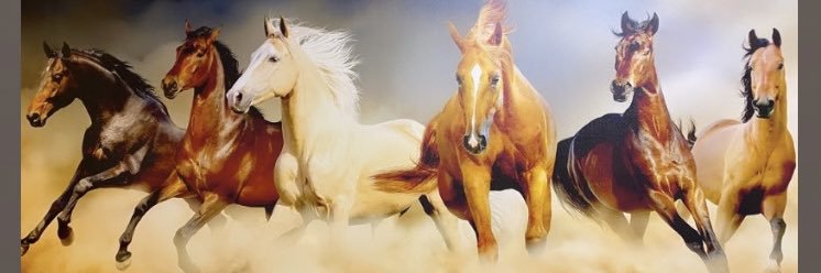 Sümeyra Nur Ceylan -A's banner