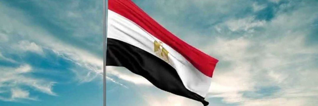 Ola Omar علا عمر's banner