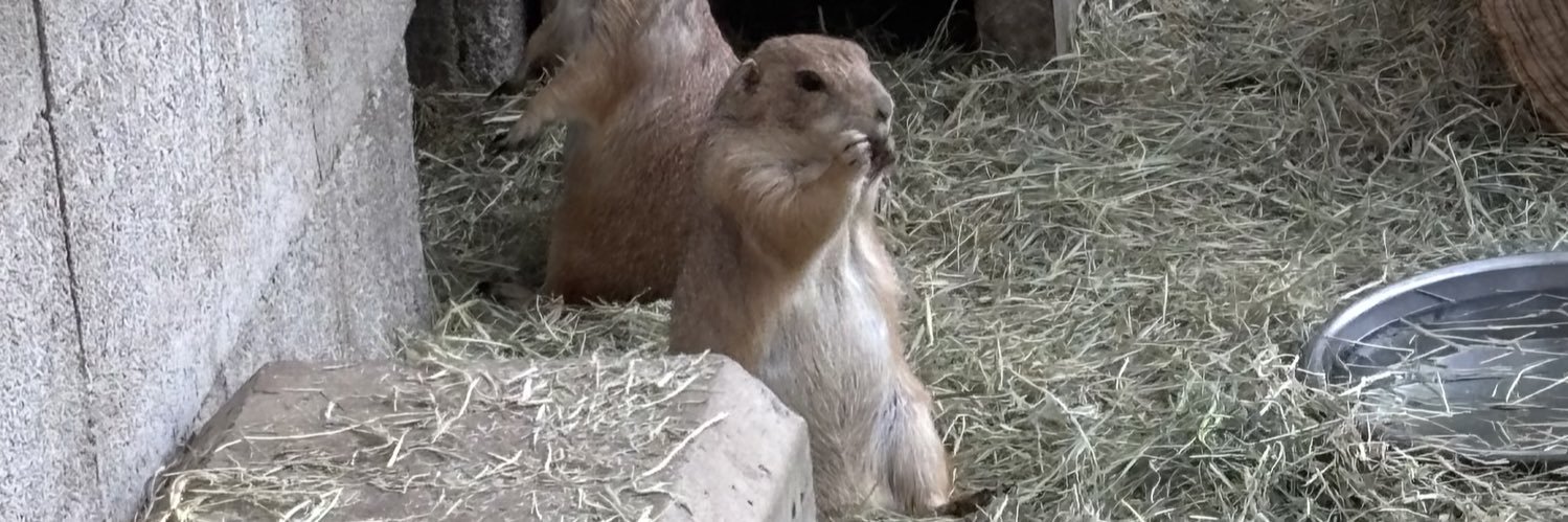 須坂市動物園【公式】's banner