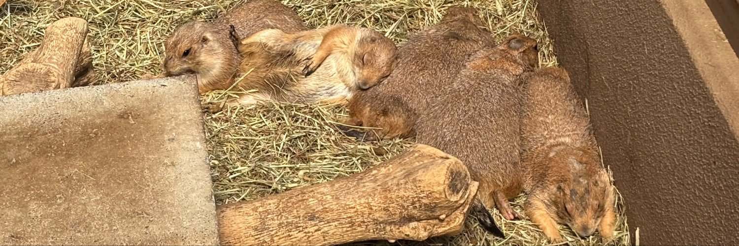 須坂市動物園【公式】's banner