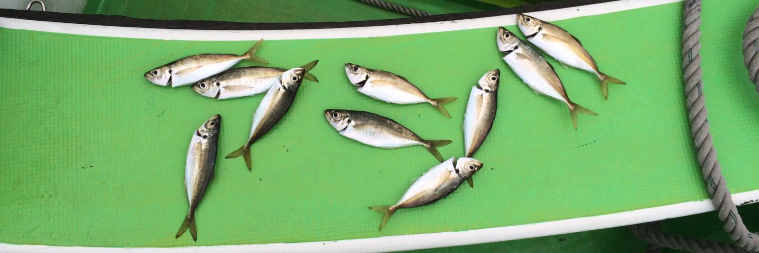 楽釣美食's banner
