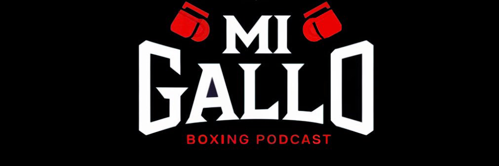 Gabriel Rosado 🇵🇷🇺🇸's banner