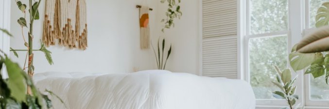 Layla Sleep's banner