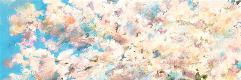 poppy 🌸's banner