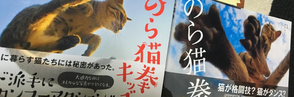 久方 広之「のら猫拳」's banner