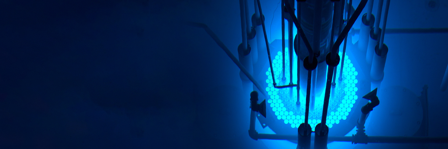 日本原子力研究開発機構（JAEA）'s banner