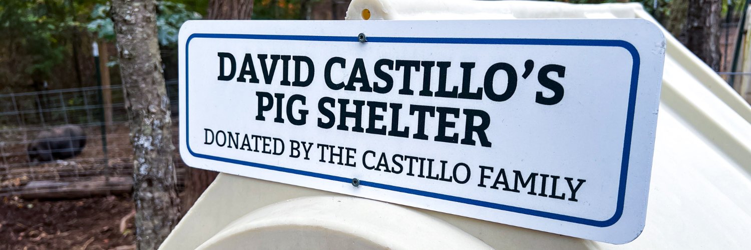 David Castillo's banner