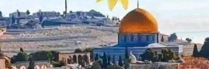 الرادع الأمازيغي 🇲🇦🇹🇷🇵🇸's banner