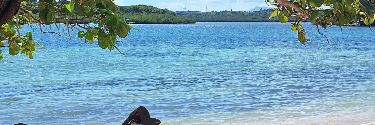 Francis Vargas's banner