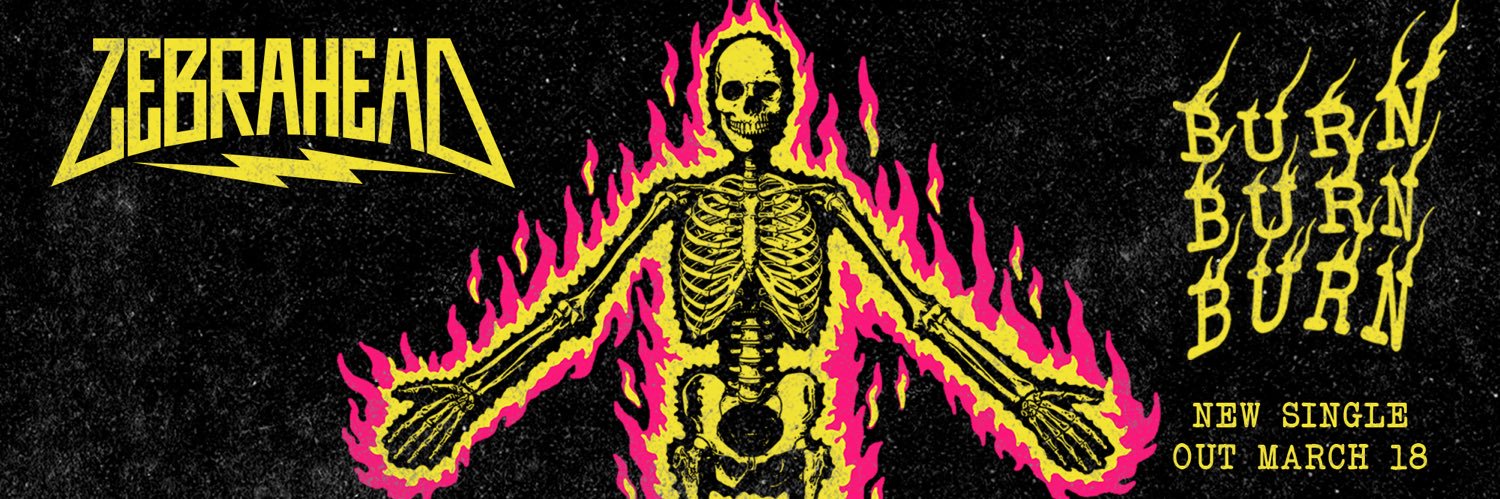Zebrahead's banner