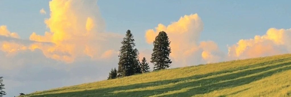 ` lalalynn ™ • ♡'s banner