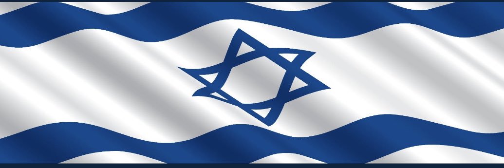 Ragnar 🇮🇱's banner