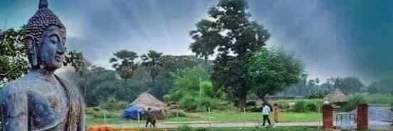 Save Tree 🌲 🌴 🎉🌿🌾🙏's banner